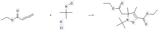 2-Propanamine,N-hydroxy-2-methyl-, hydrochloride (1:1) can be used to produce 2-tert-butyl-3-ethoxycarbonylmethyl-3,4-dimethyl-2,3-dihydro-isoxazole-5-carboxylic acid ethyl ester at the temperature of 80°C